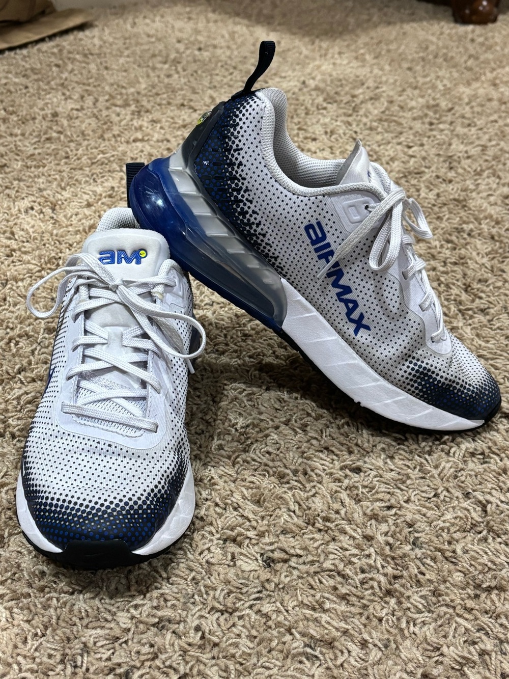 Nike Air Max White and Blue Gradient Big Kids Sneakers